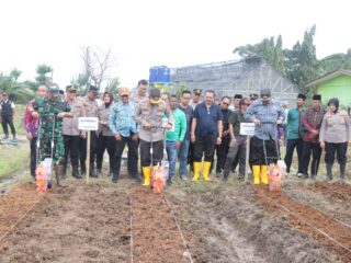 Kapolres Metro Tangerang Realisasi Asta Cita Presiden Prabowo, Penanaman 1 Hektare Jagung